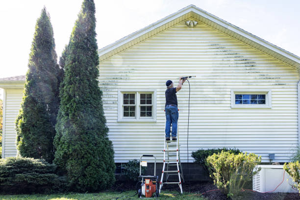 Best Roof Power Washing Services  in Kaneohe, HI