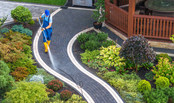 Best Affordable Power Washing  in Kaneohe, HI